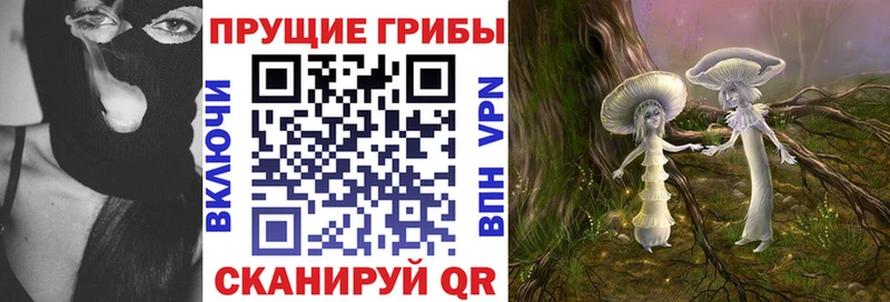 Купить где  Багратионовск  Галлюциногенные грибы мицелий 
